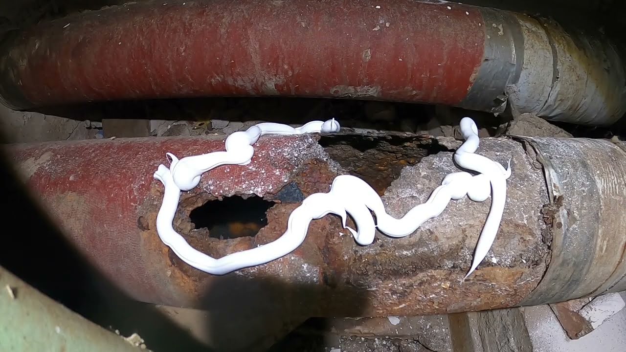 Kempinger 554. Ужасная вонь за стеной... И это были не фекалии.