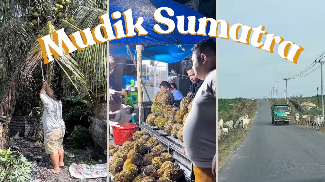 PULANG KAMPUNG ke SUMATRA Part ll