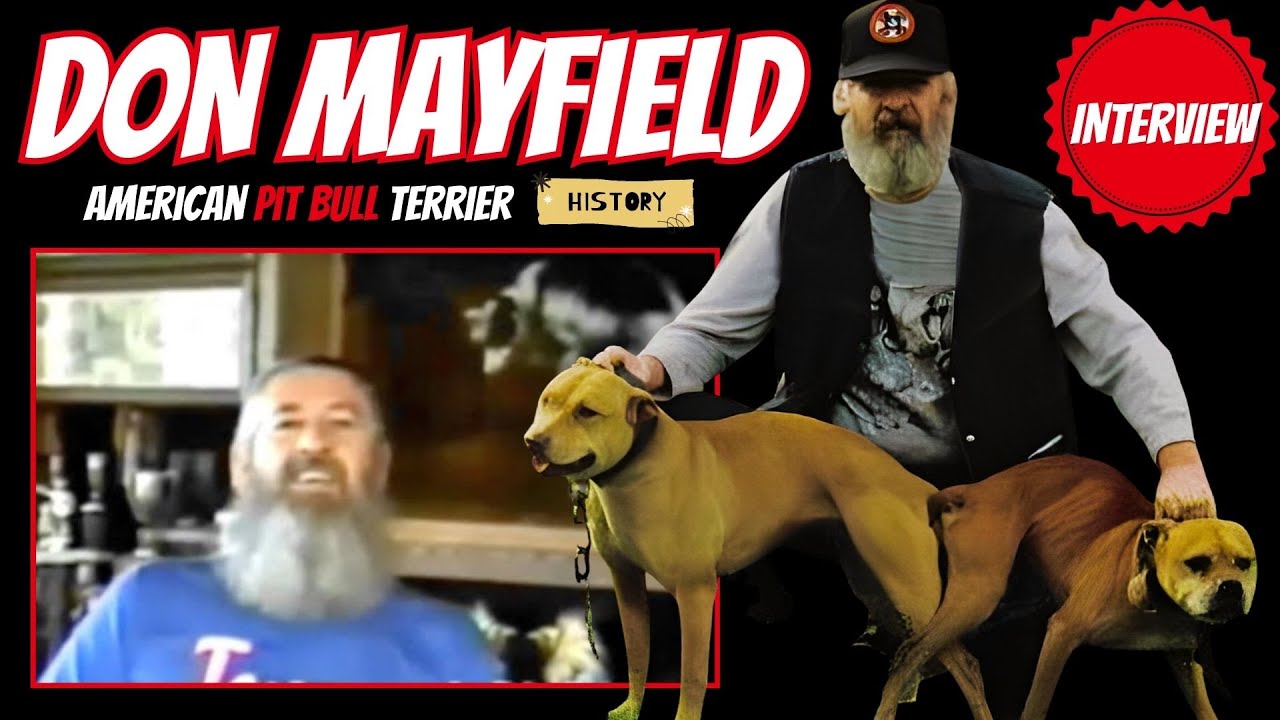 DON MAYFIELD PITBULL CONDITIONING SECRETS | APBT GAMEDOG KEEP