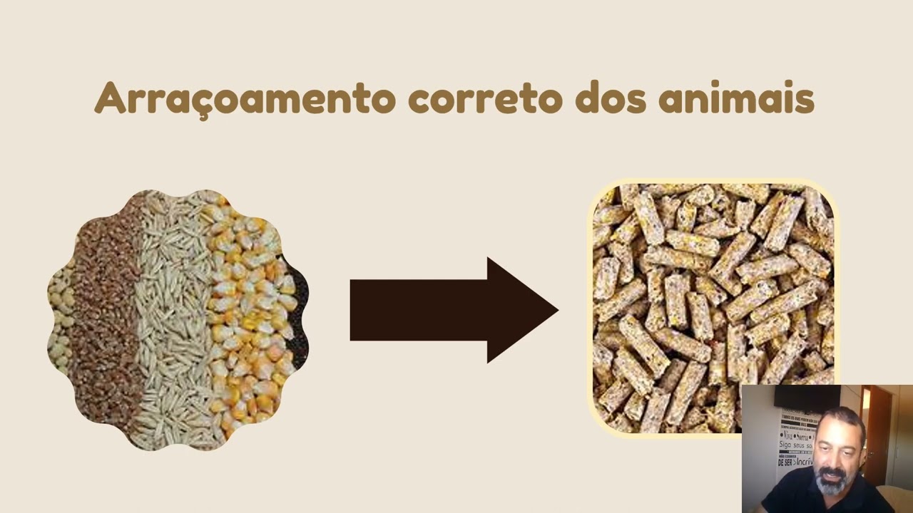 Nutri&ccedil;&atilde;o Animal - Introdu&ccedil;&atilde;o