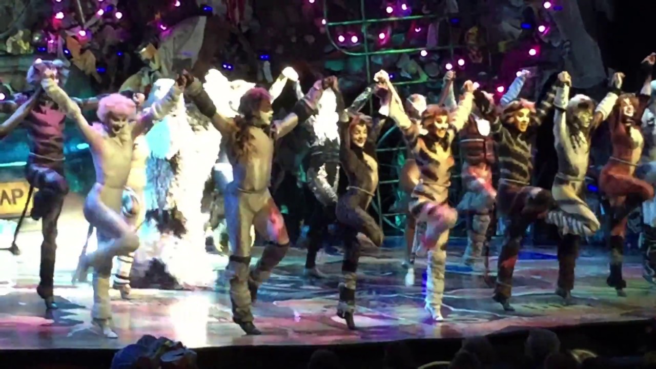 Mr Mistoffelees | CATS The Musical | Oasis of the Seas - 2016 - Matt Landel