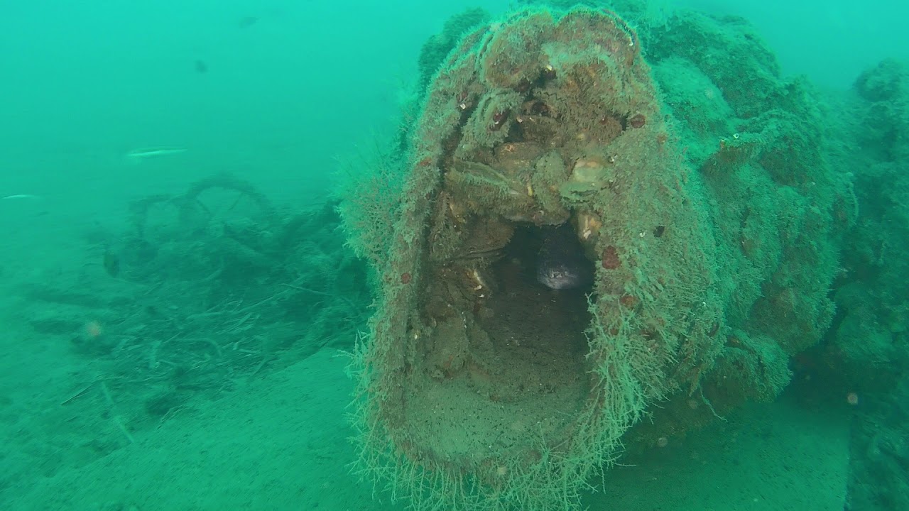 Gladius Mini ROV Pesci e relitti Golfo TIGULLIO - TLM Nautica