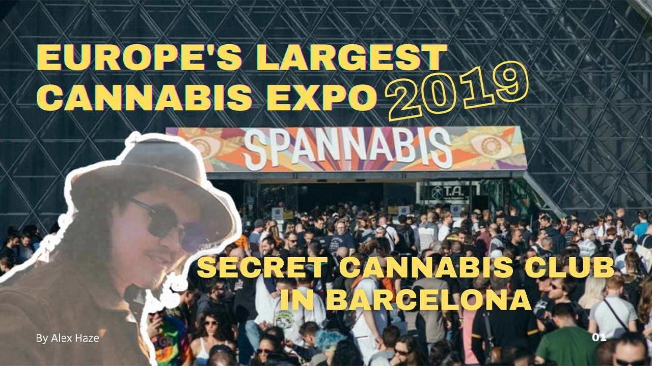 Exploring THE LARGEST Cannabis Expo & Cannabis Clubs in Barcelona