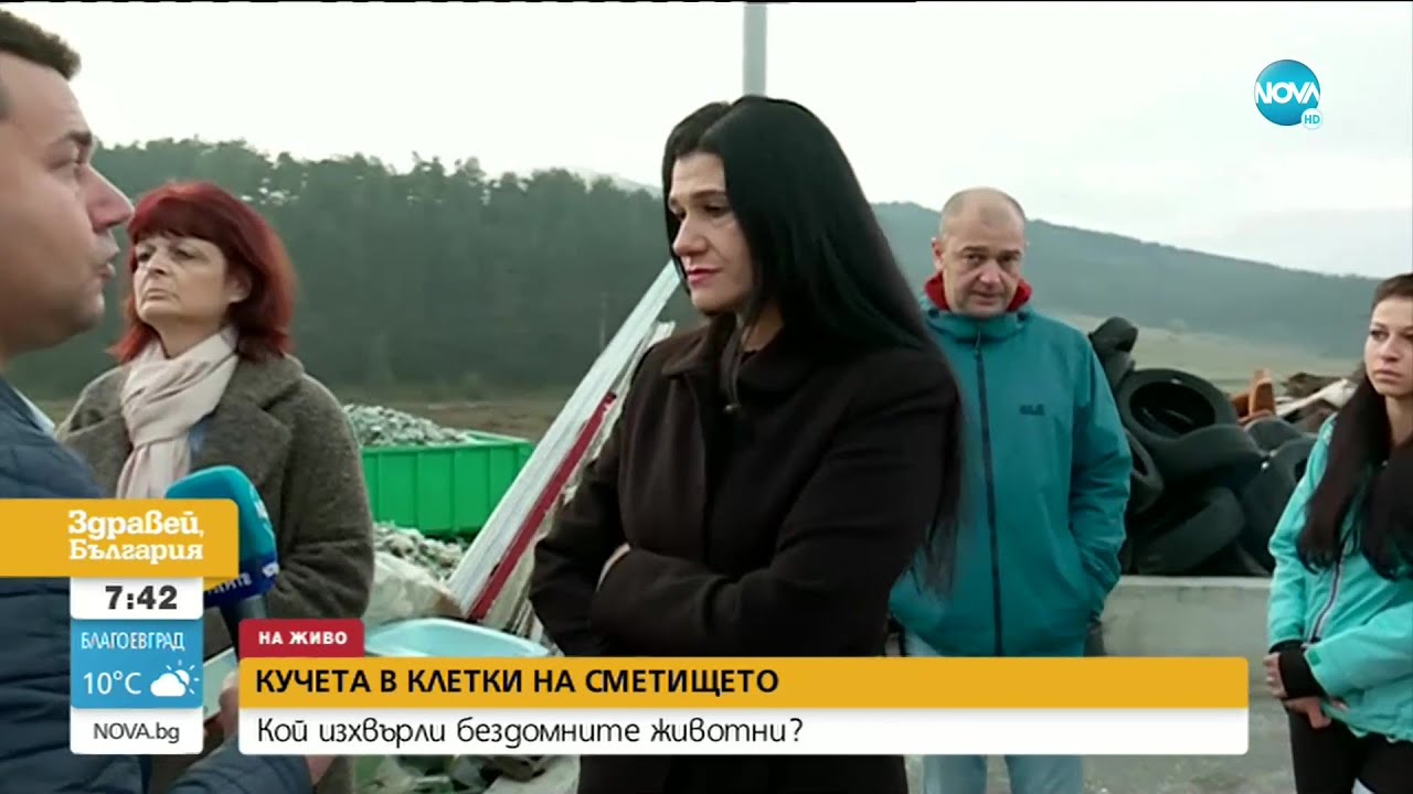 Изхвърлиха кучета в клетки на сметището - Здравей, България (12.10.2020)
