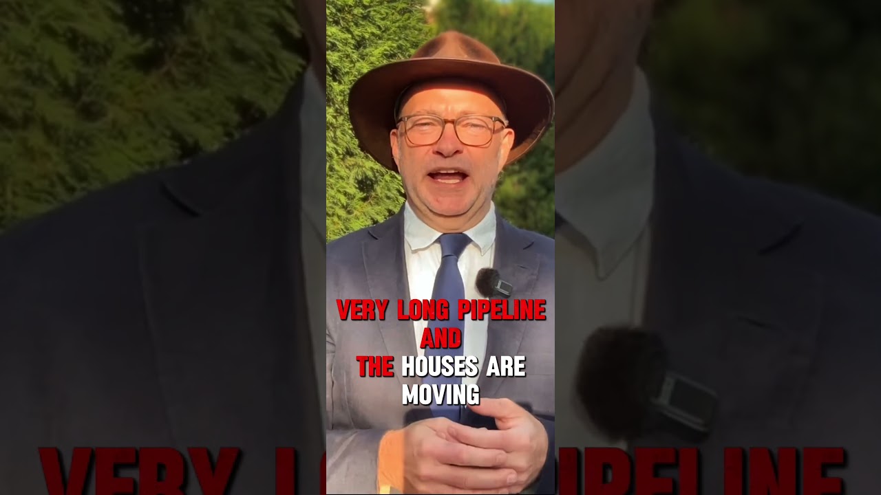 Albo on the Housing Crisis! #satire #comedy #albanese #funny #auspol #shorts
