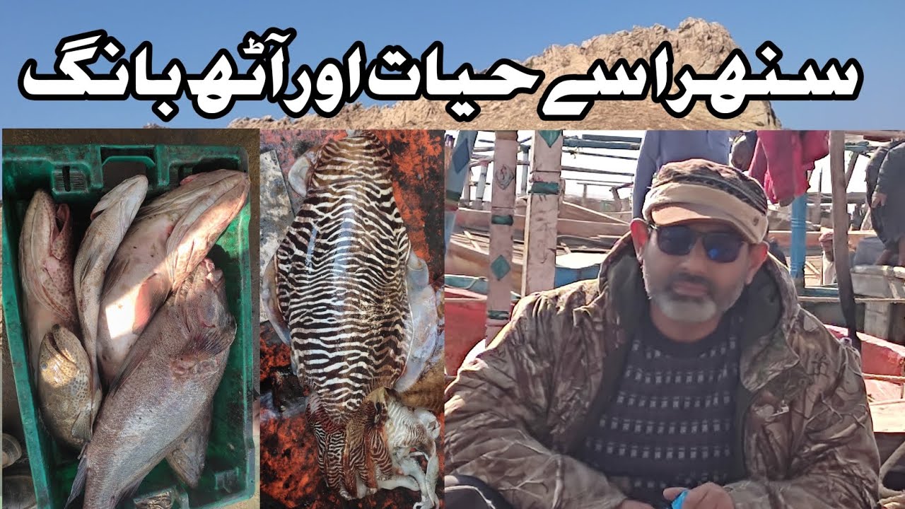 Hayat 8 bang or chota dill Ka pathar fishing report fishing and cooking vlog @kamalfishingfun  