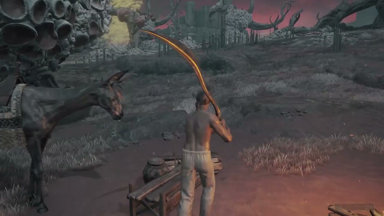Elden Ring deathless part 2