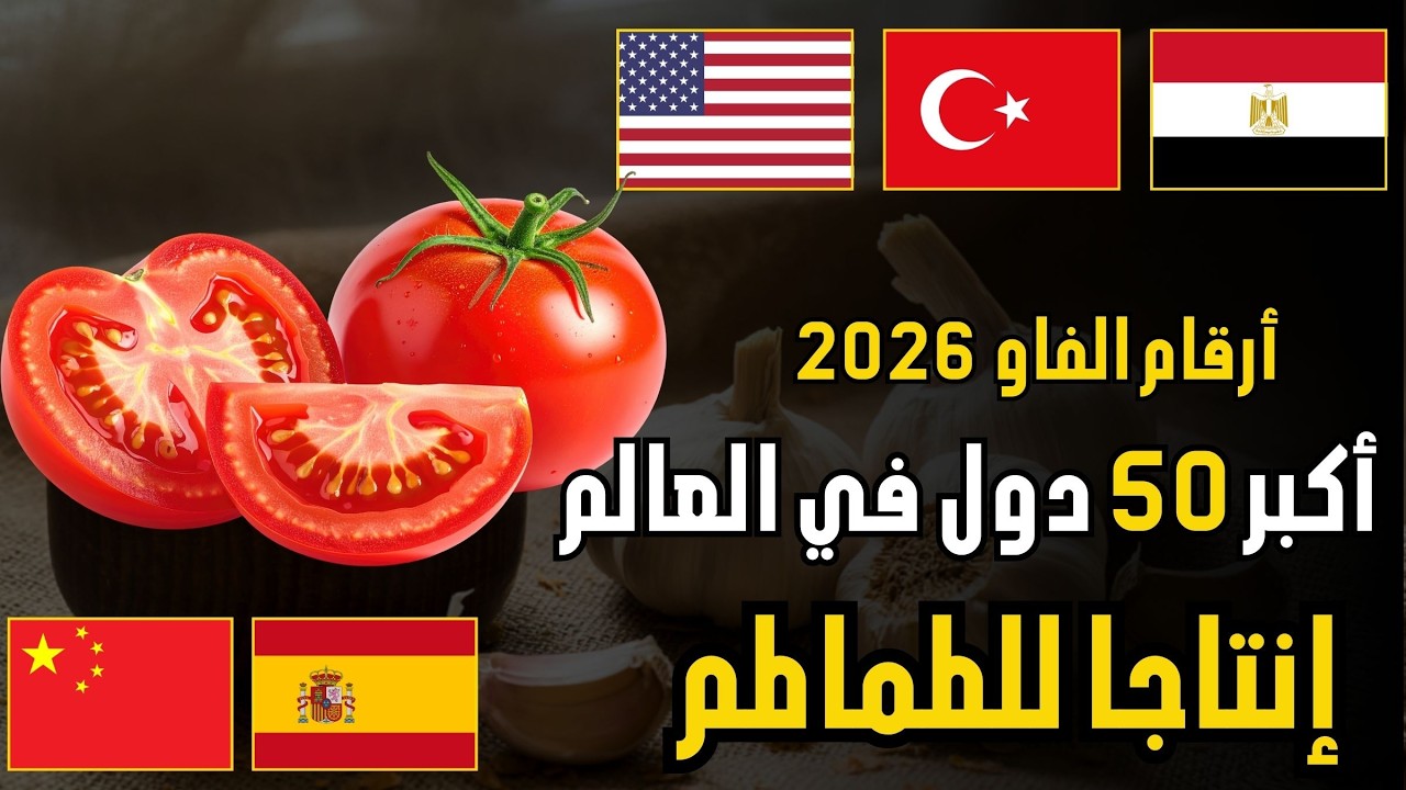 من بينها دول عربية |🍅 أكبر 50 دولة منتجة  للطماطم | ترتيب عالمي(FAO 2026)