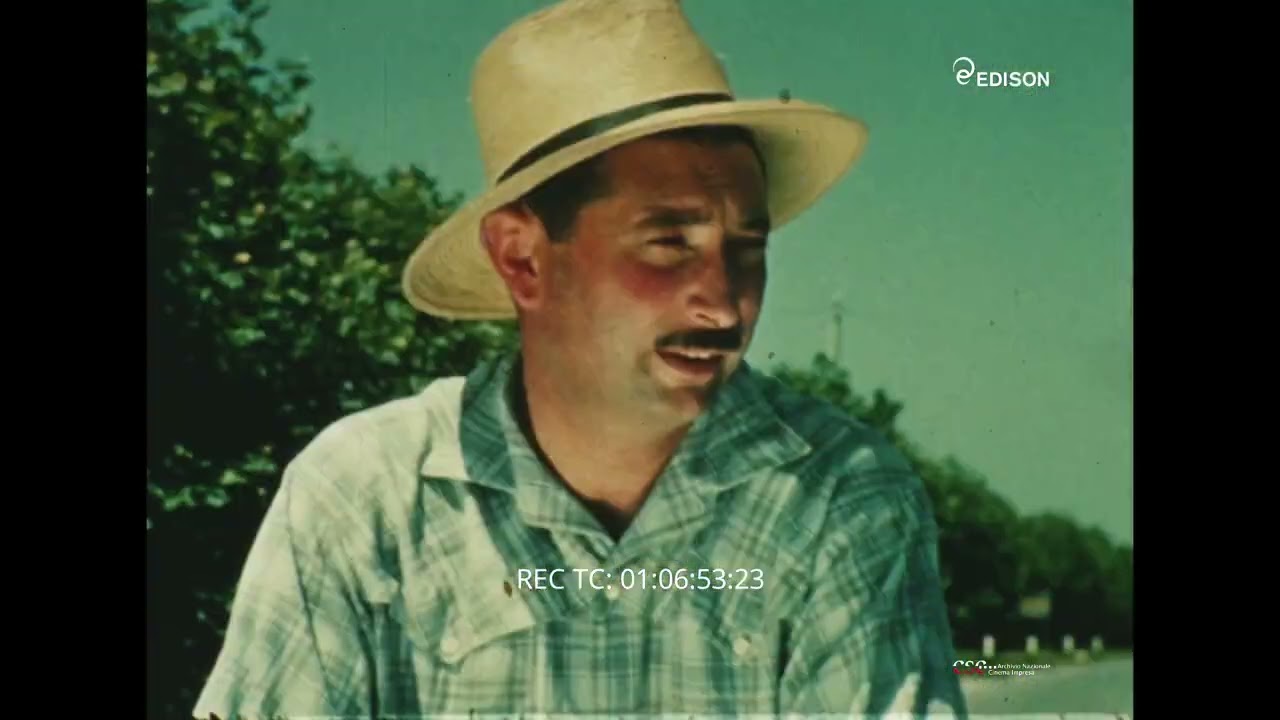 Cose che Capitano (Giovanni Cecchinato, 1961)