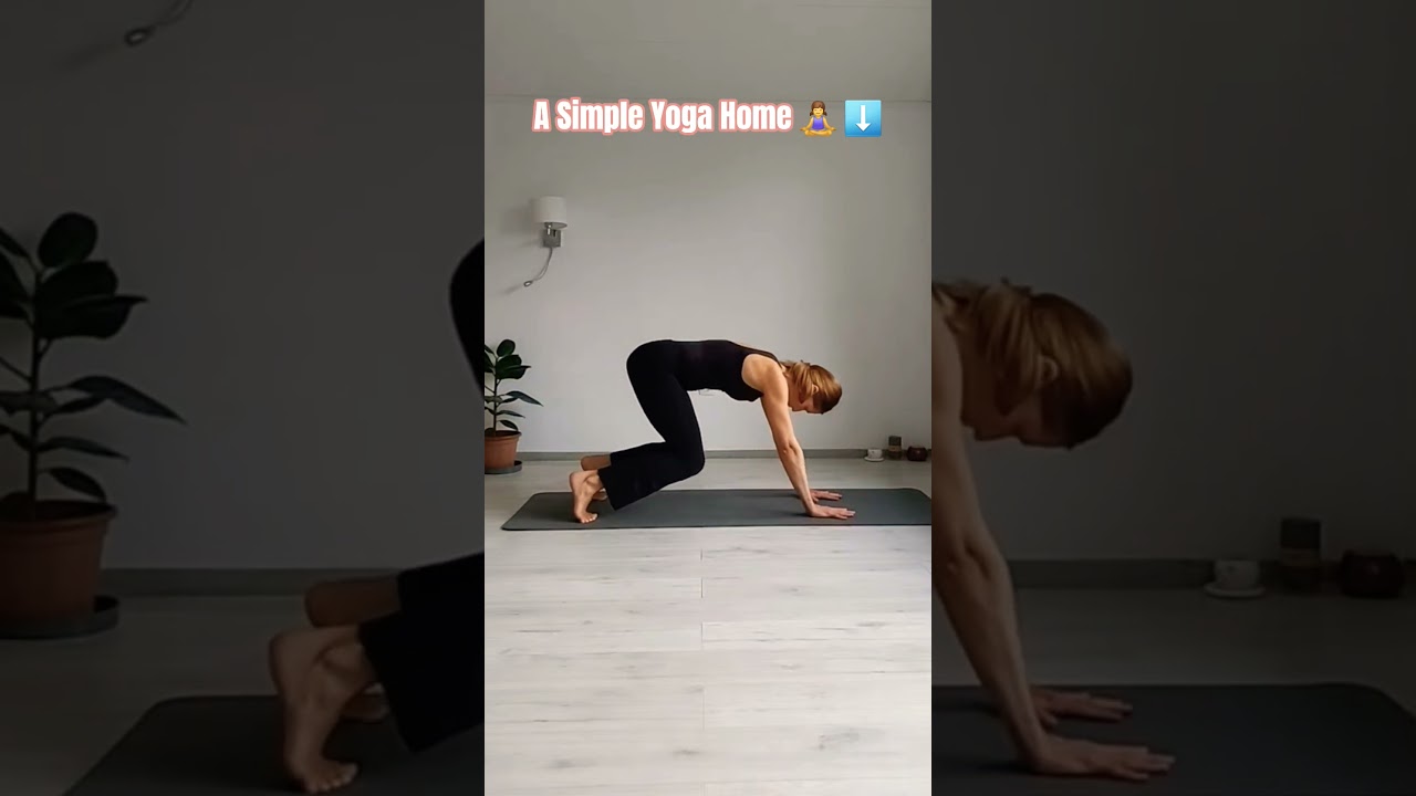 Cow to downward dog flow 👆 ➡️▶️40-Min Yoga Basics 