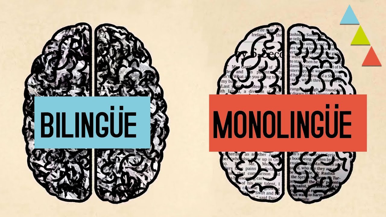 &iquest;Ser biling&uuml;e nos hace m&aacute;s listos?