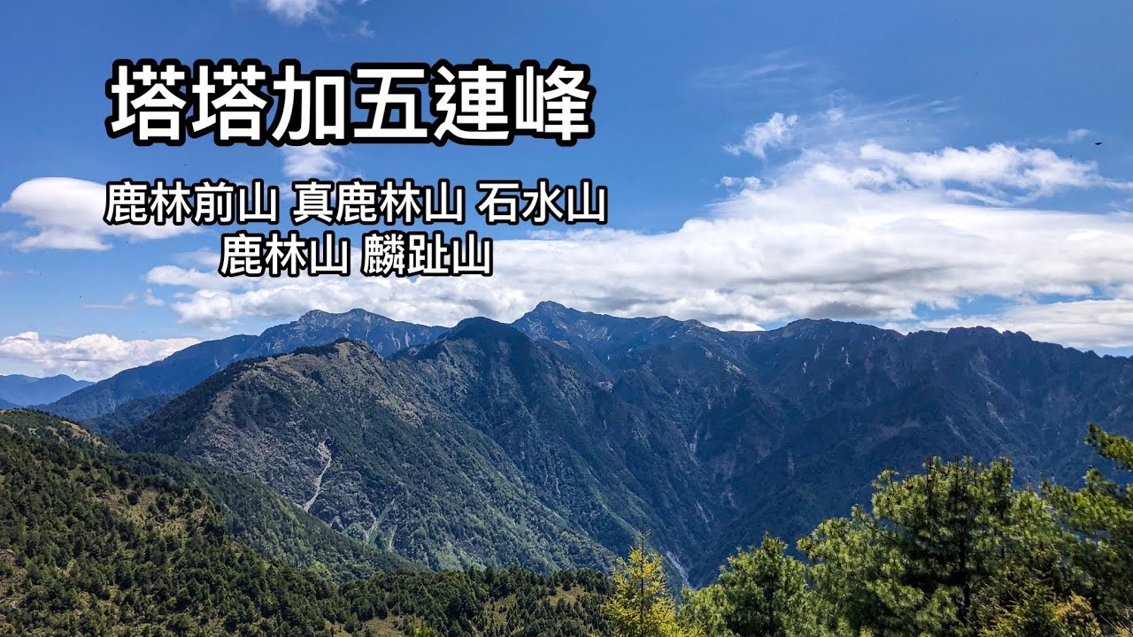 ［南投信義］2022再訪塔塔加五連峰 鹿林山、麟趾山步道 石水山步道 鹿林神木步道
