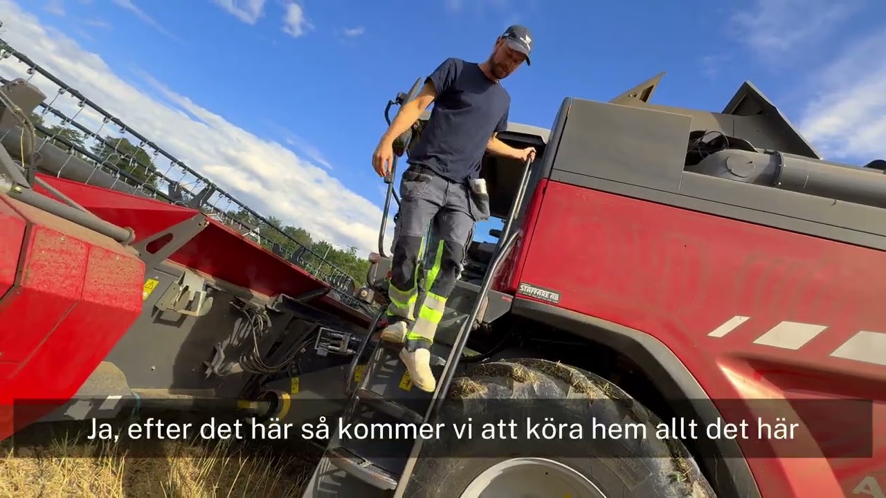 Rapeseed Harvest Sweden 4K | Cinematic Drone Footage | Combine Harvester