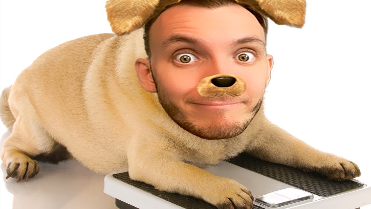 PSÍ random ŽIVOT. 🐶 | Doggone Hungry
