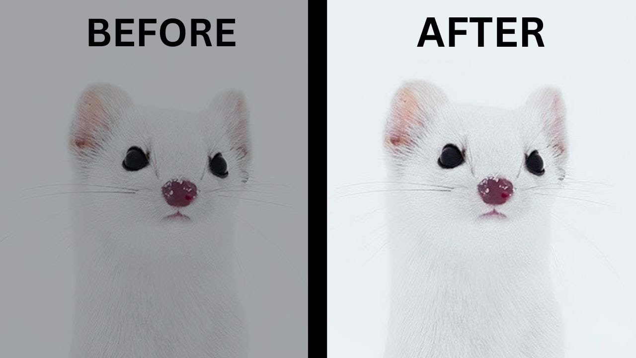 5 Deadly Mistakes That Wrecks Photo Quality