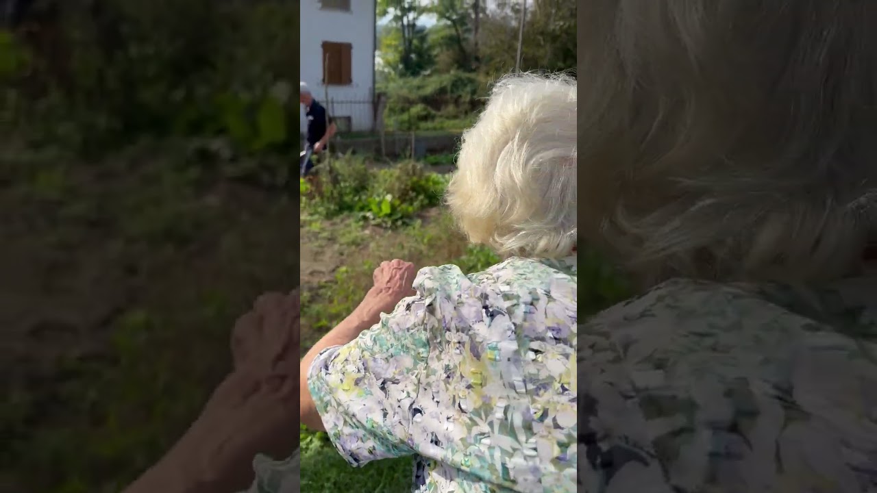 controllando le ingurie