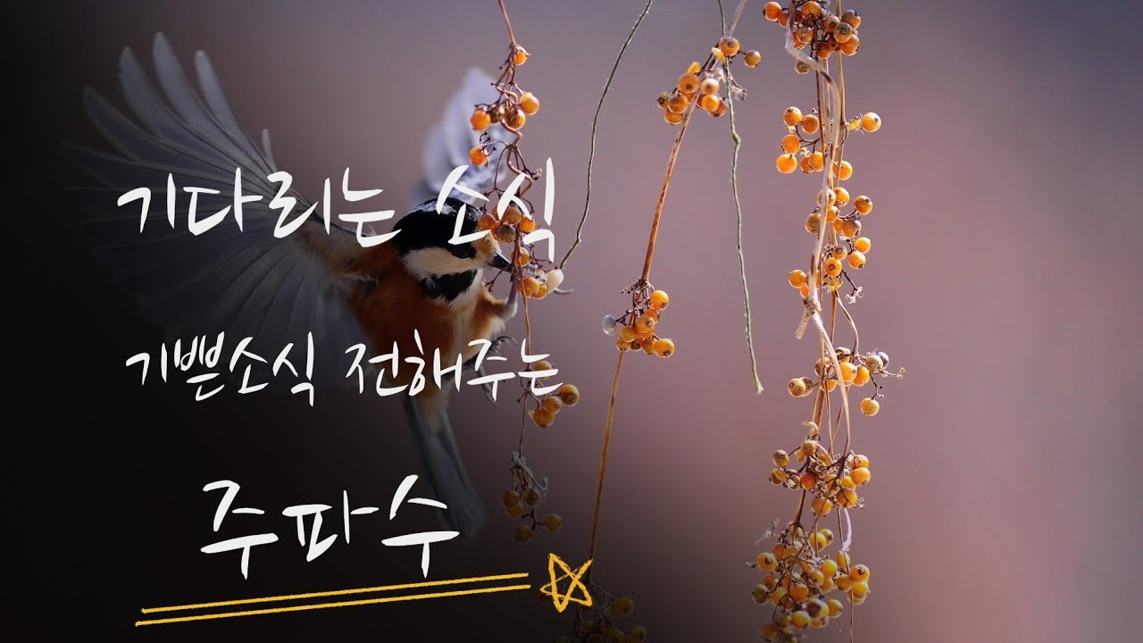 기다리는 소식, 기쁜 소식 전해주는 주파수