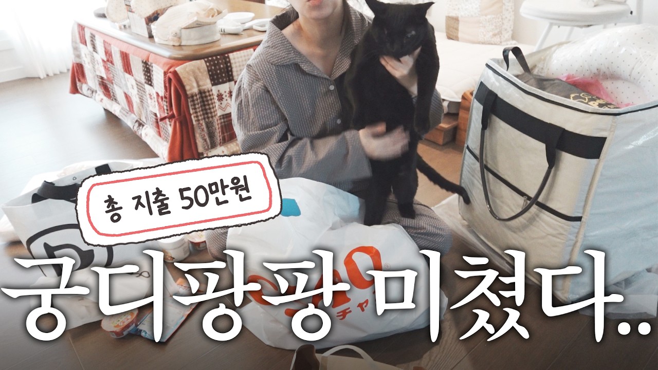 방금 다녀온 서울 궁디팡팡 🛒 50만원어치 고양이용품 하울