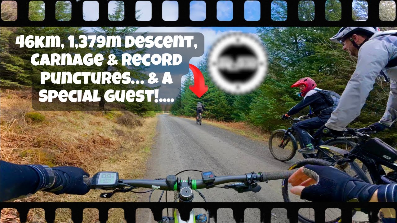 Grizedale MTB Epic With Trail Finder – Huge Descents, Full-Speed Black Run Chaos