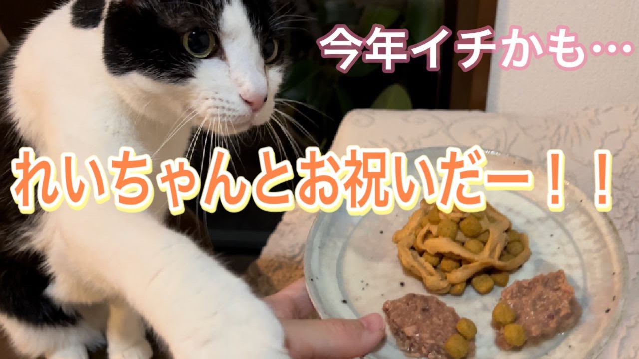 皆様のお陰でこんなに幸せな出来事がありました。今年もお世話になりました。来年もまたよろしくお願いします！