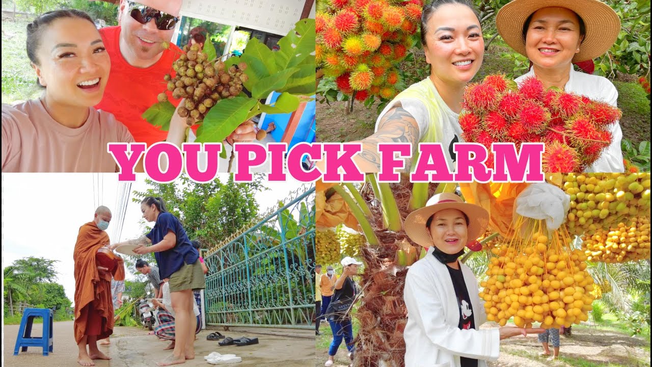 YOU PICK FAMILY FARM *RAMBUTAN *DATES + MORNING MARKET DAILY CASUAL VLOGS | SASVlogs