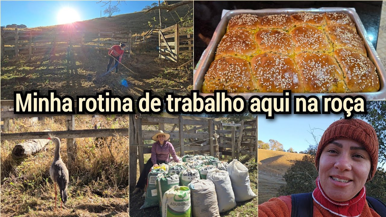 PÃO DE COLHER SEM SOVAR/JUNTEI 20 SACOS DE ESTERCO/TRABALHO COM A PAZ E A BELEZA DA NATUREZA
