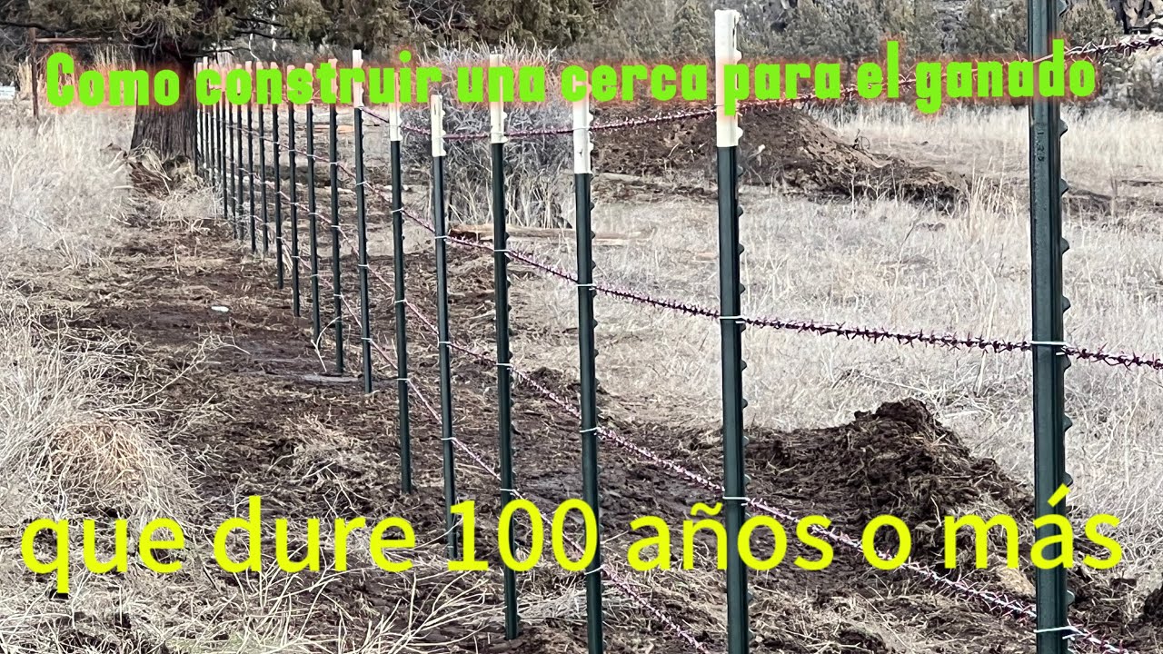 Así Se Construye Una Cerca Ganadera Desde Cero