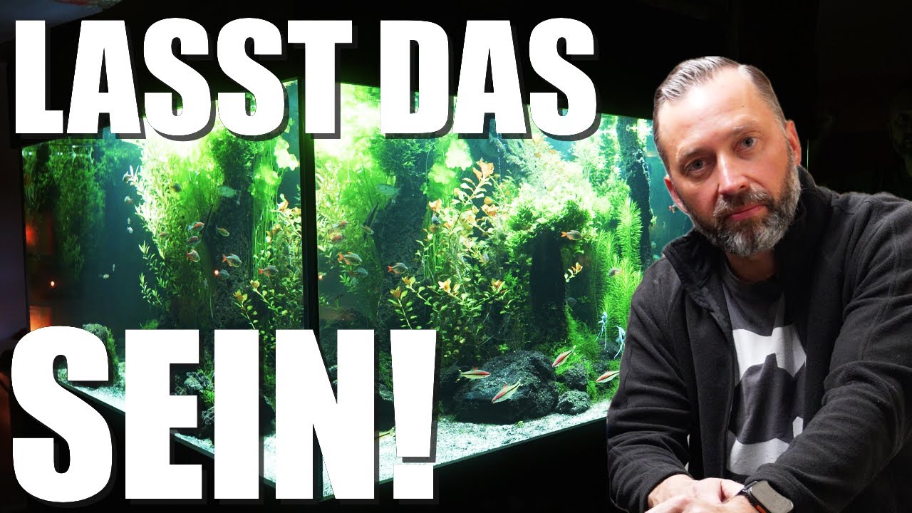 Sabotage im 3600L Süßwasseraquarium!!!
