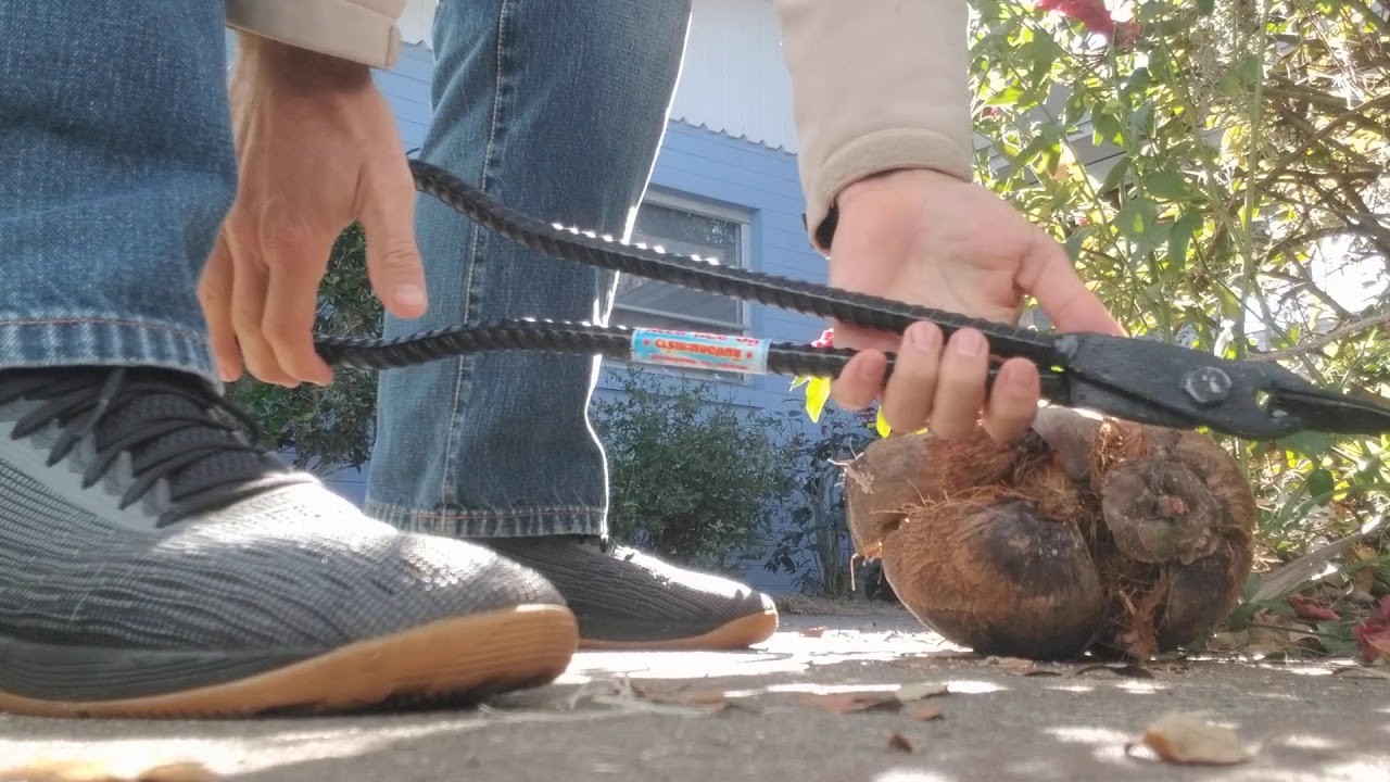 Using Aranyik manual coconut dehusker