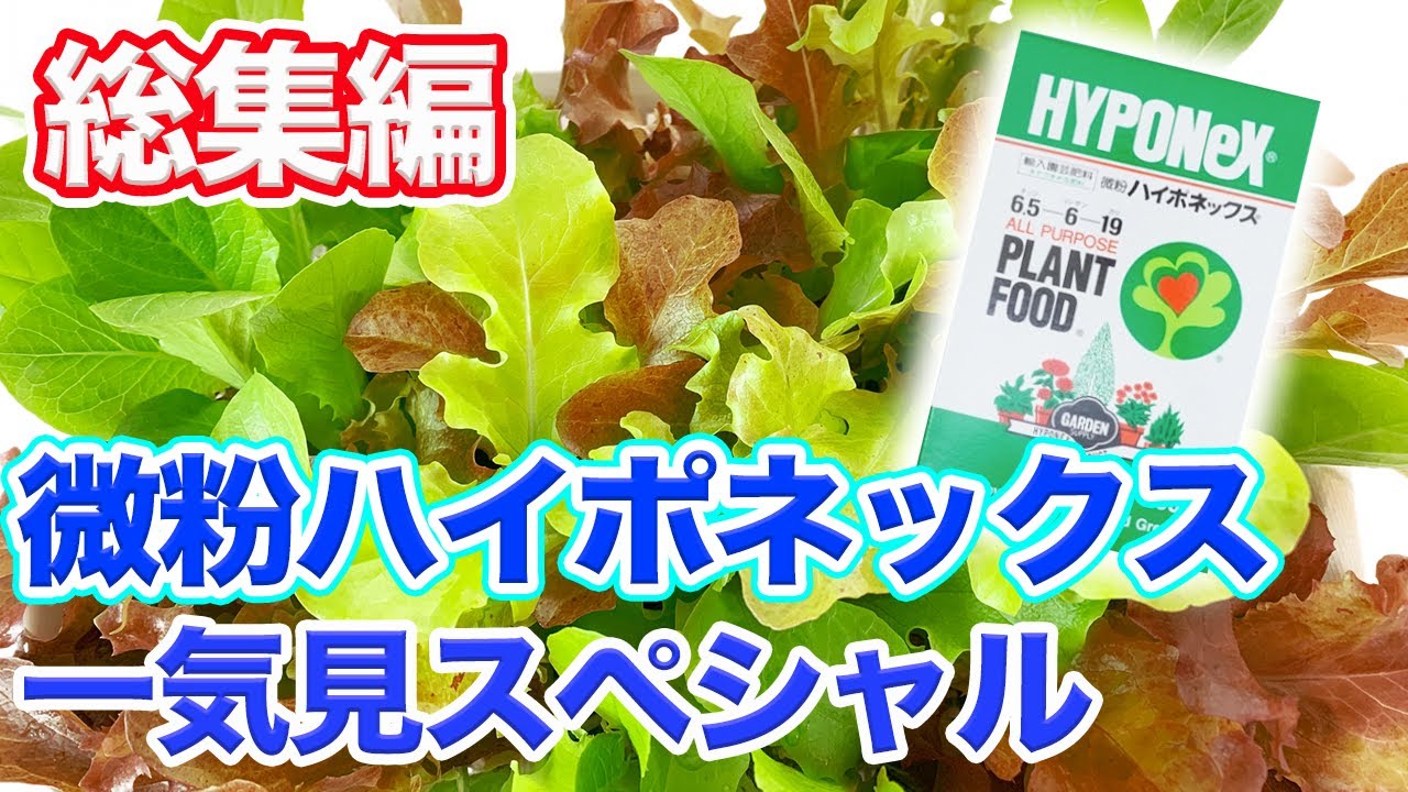 【保存版】微粉ハイポネックス使い方・注意点まで完全網羅！厳選動画まとめて一気見【園芸の基本】【園芸塾】【ハイポネックス】