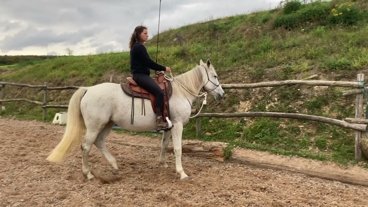 Fiona and Perle Level 2 FreeStyle Parelli Audition