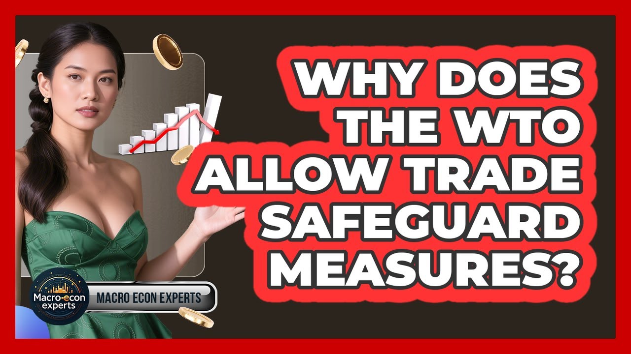 Why Does The WTO Allow Trade Safeguard Measures? - Macroecon Experts