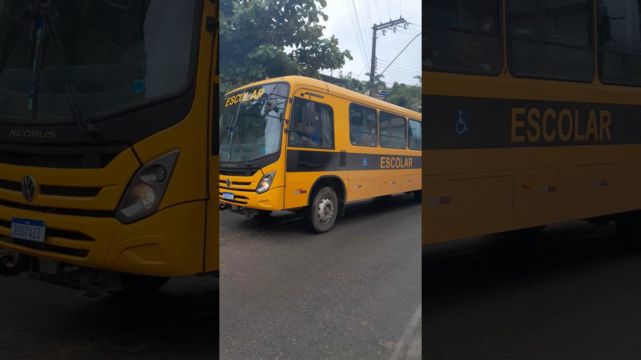 Neobus thunder midi escolar