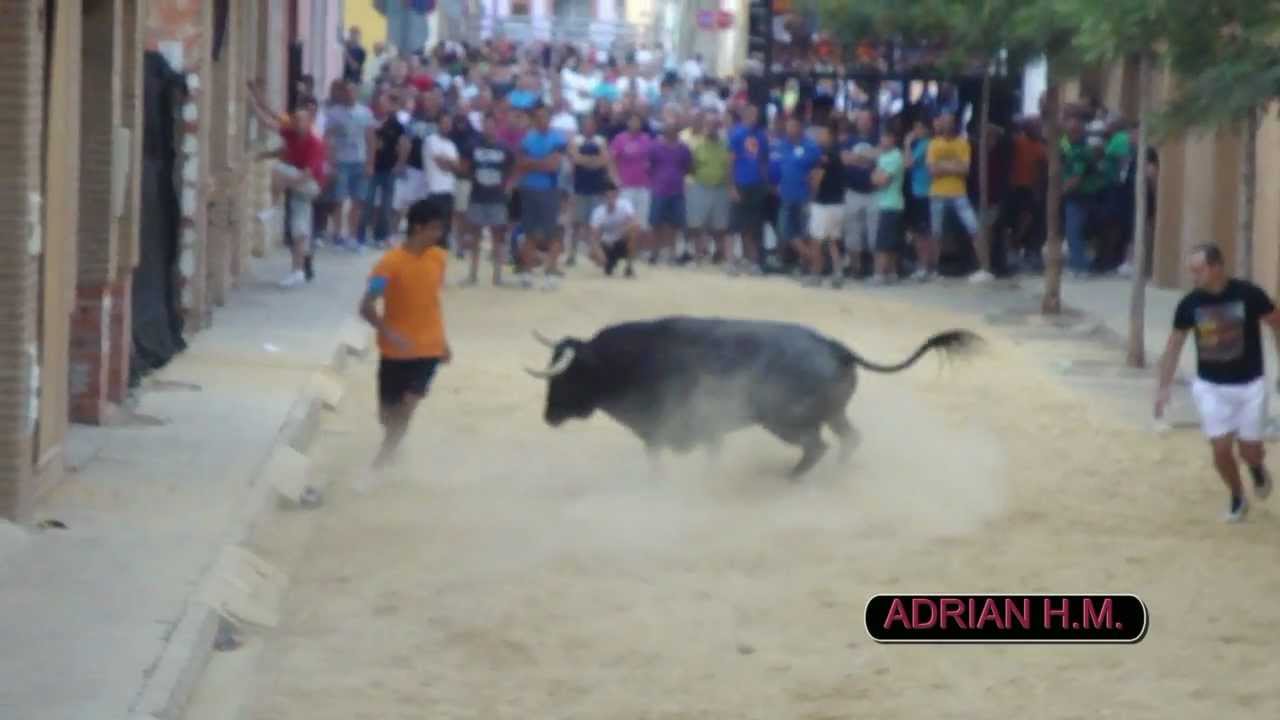 MASSALFASSAR(V)1-9-2012 LA POCA VERGONYA TOROS CERRILES DE JOAQUIN BUENDIA