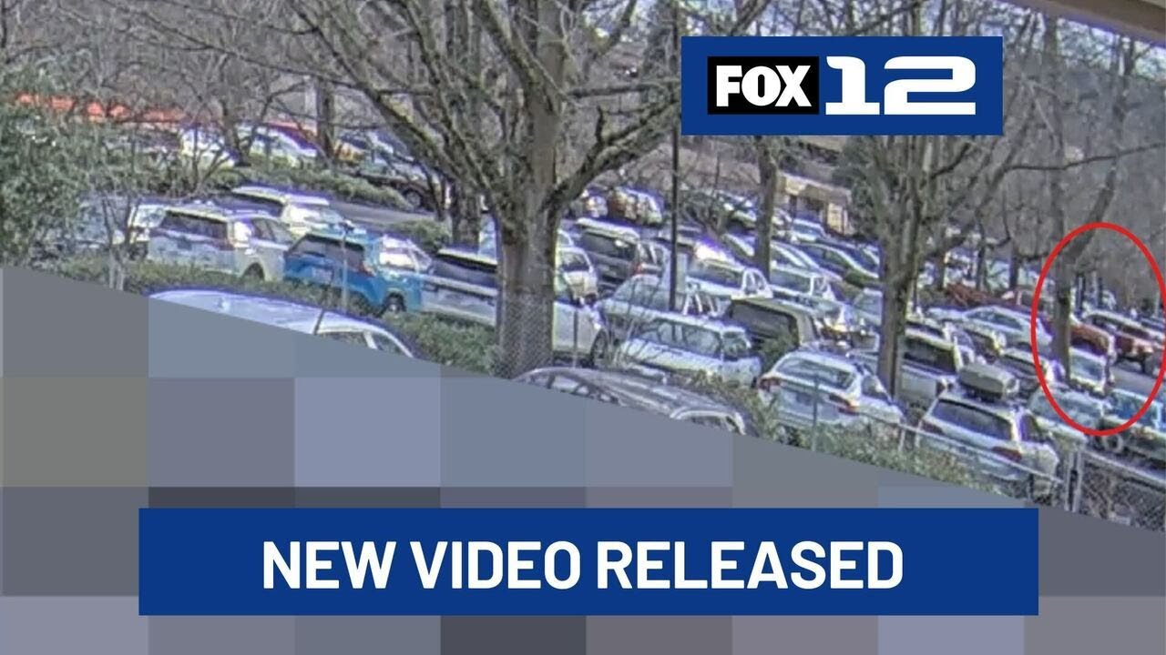 New video shows January shooting involving Border Patrol in Portland