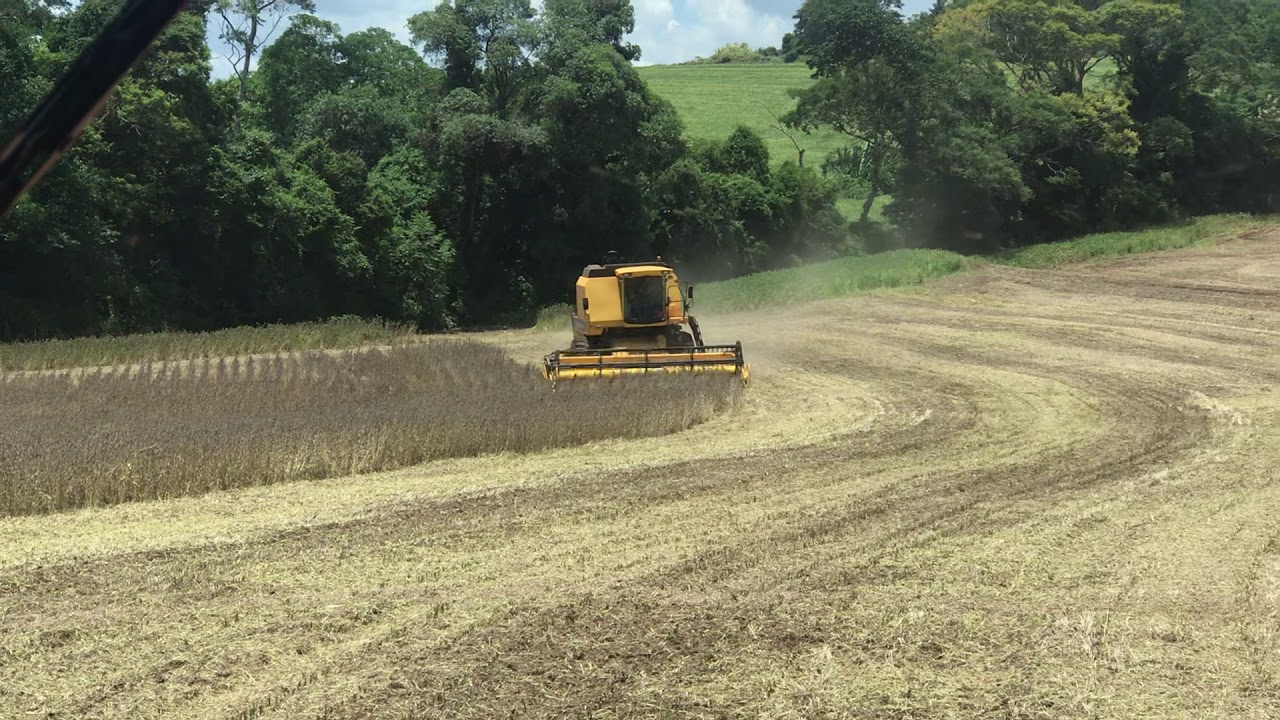 5090 New Holand Colhendo soja 2019 Oeste do Paraná