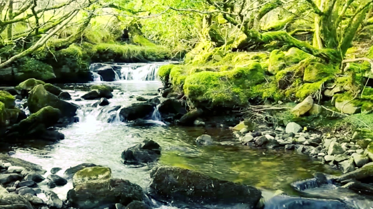 8小時睡眠白噪聲，山區小溪水流，安穩舒眠，放鬆睡覺音樂，綠色