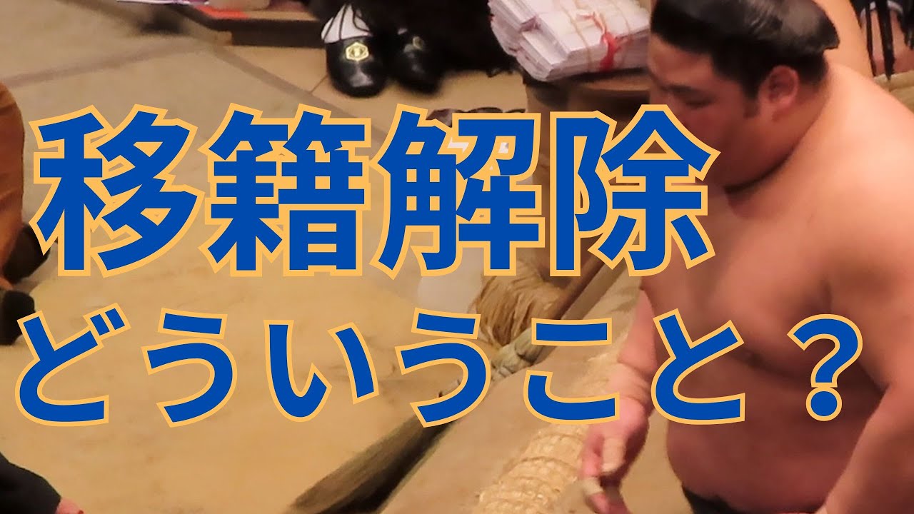移籍解除後に四股名を戻す？どういう意味？爺の私見まとめ #相撲 #sumo