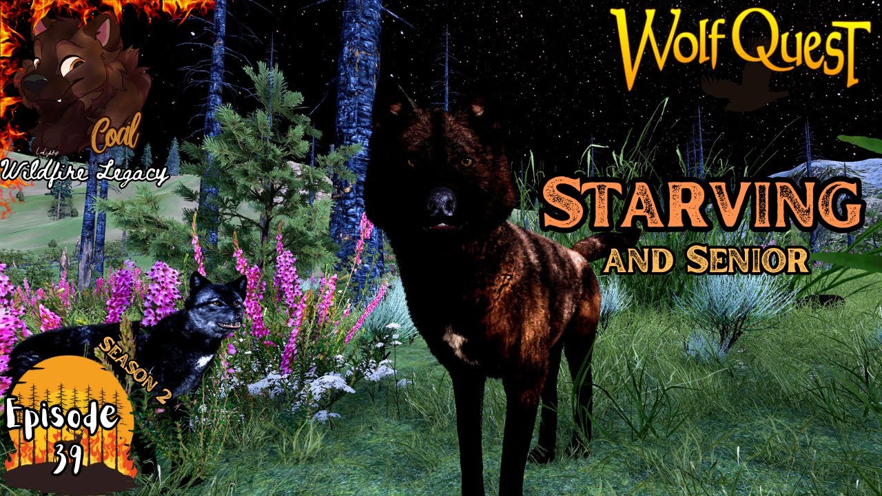 Struggling To Survive | S2 Ep 39 Wildfire Pack Legacy | Wolfquest AE Letsplay