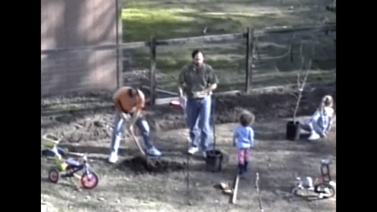 January 1994 I Planting Apple Trees at Our New Home I Unedited Family Footage | San Ramon, CA