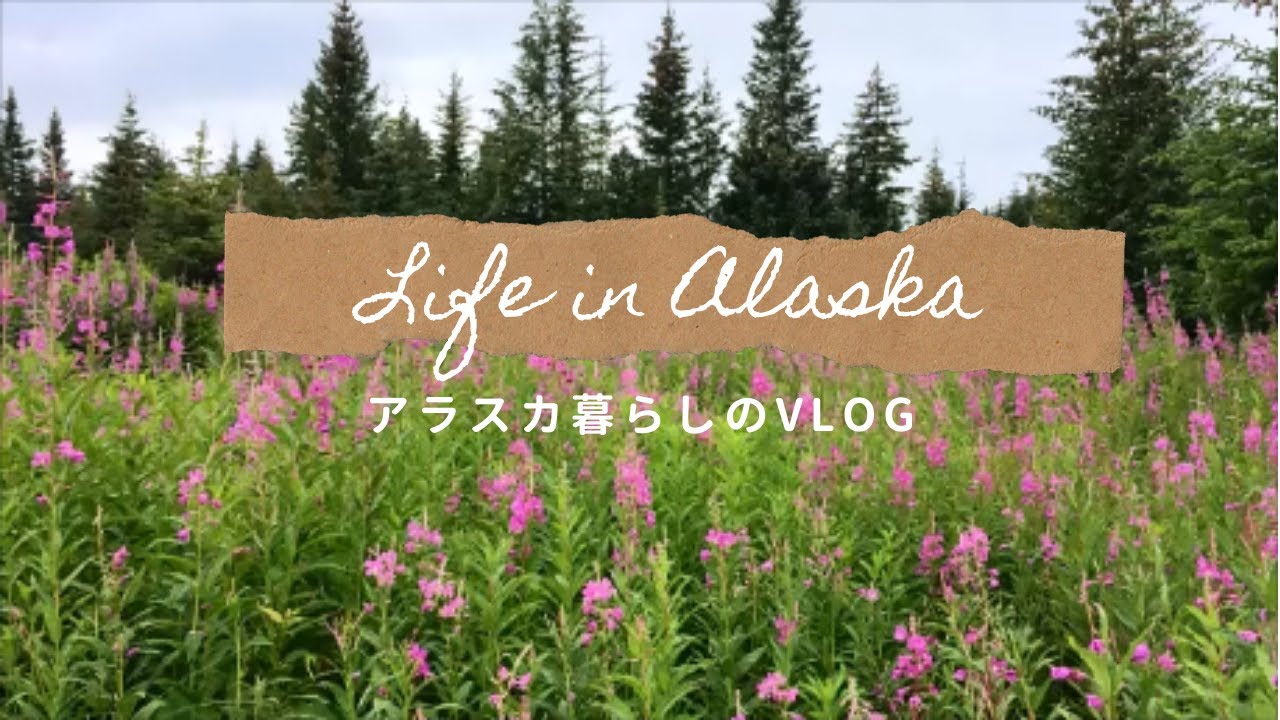 ヤナギランの花ジャムと発酵茶/Fireweed Jelly and Fermented Tea