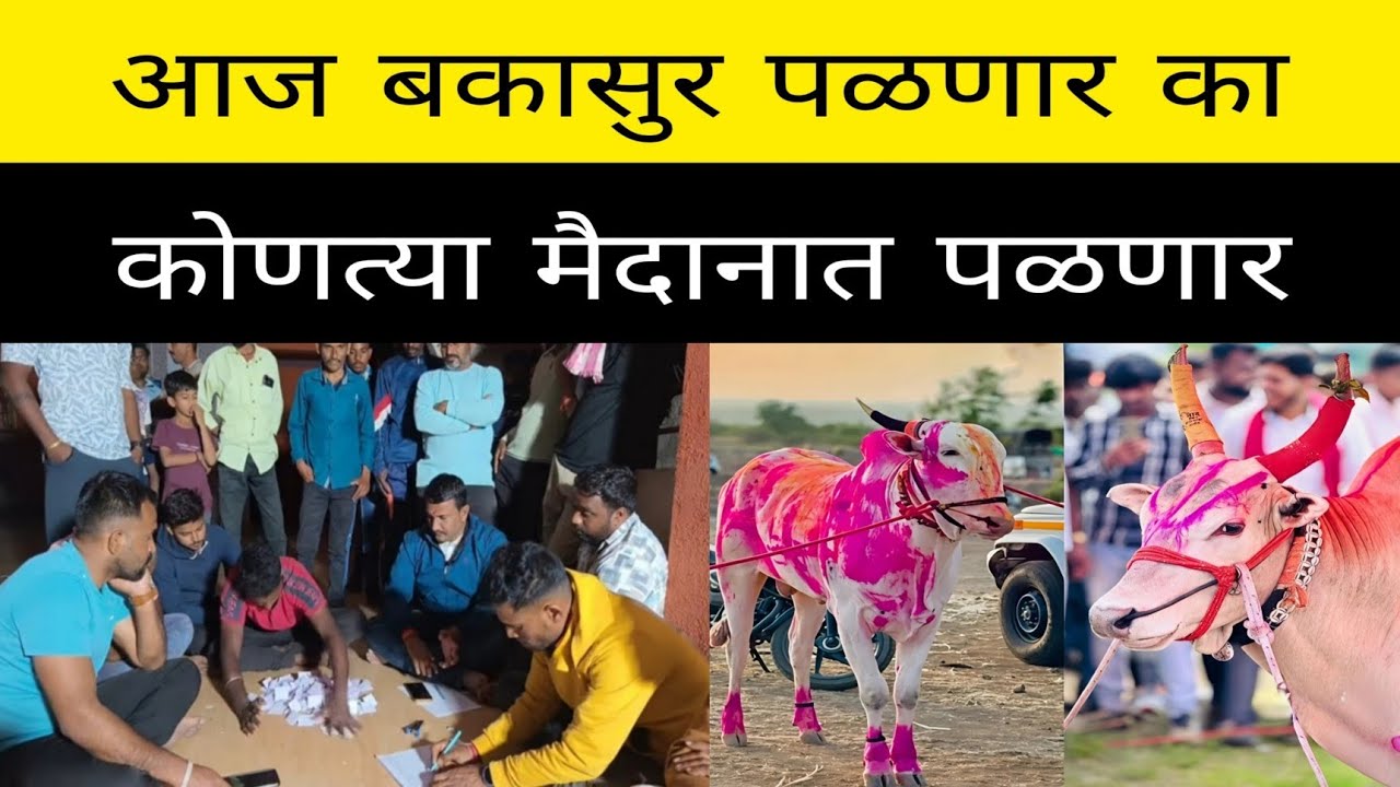 आज तांदुळवाडी का नागाचे कुमठे मैदानात पळणार बकासुर ? चिठ्ठी निघाली का बकासुरची !