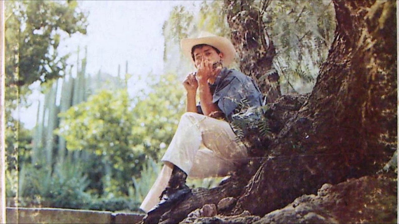 Armónica ranchera sentimental - (Música instrumental con armónica)