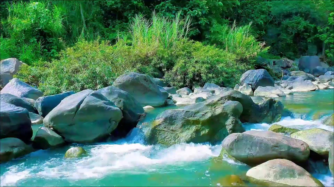Serene River Sounds | Peaceful Waterfall River for Restful Sleep