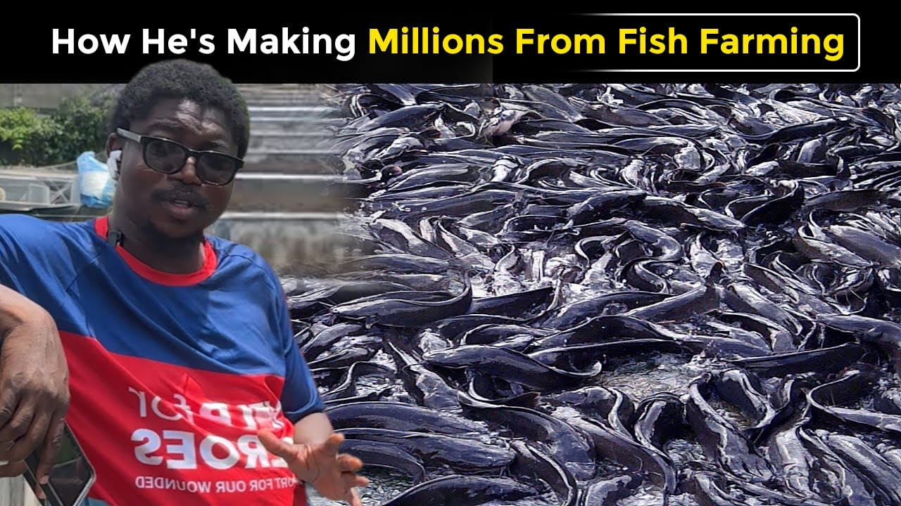 He Turned His Luxury Home Backyard Into A Multi-Millionaire Fish Farm