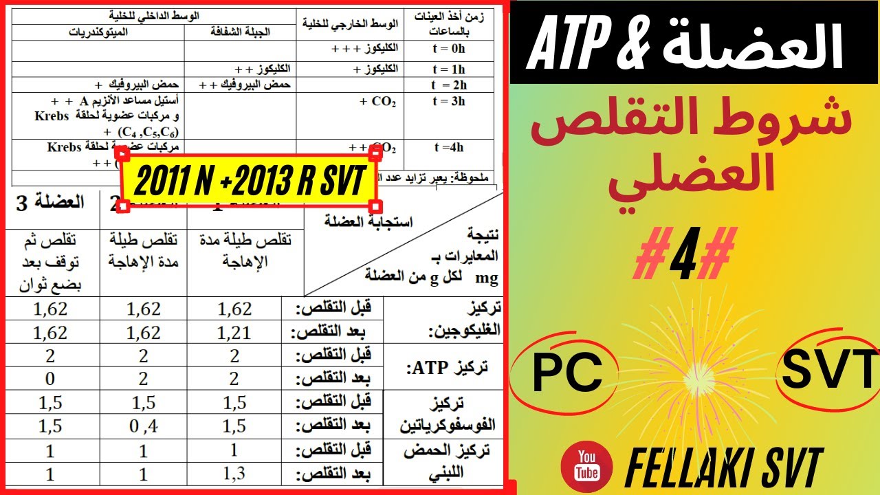 SVT  شروط التقلص العضلي وطني 2011 العادية + وطني 2013 الاستدراكية مسلك  : ATPالنوع 4 من تمارين