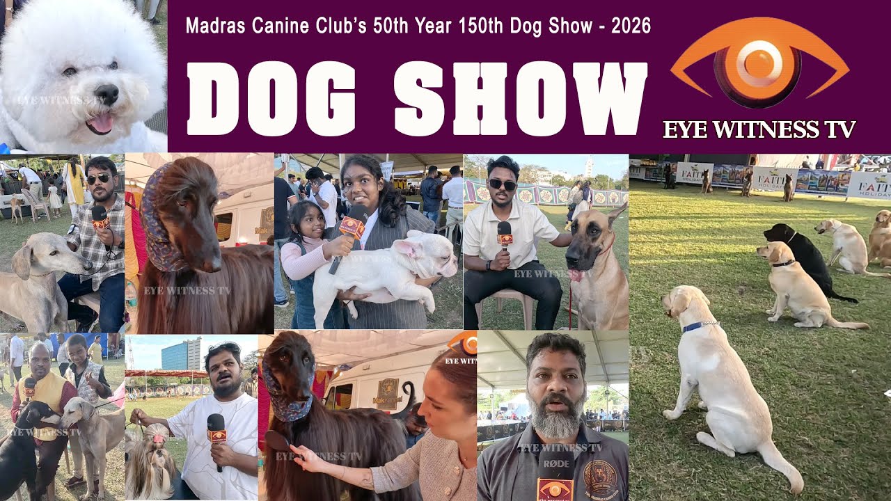 Dog Show 2026 I Madras Canine Club I 50th Year I 150th Show 