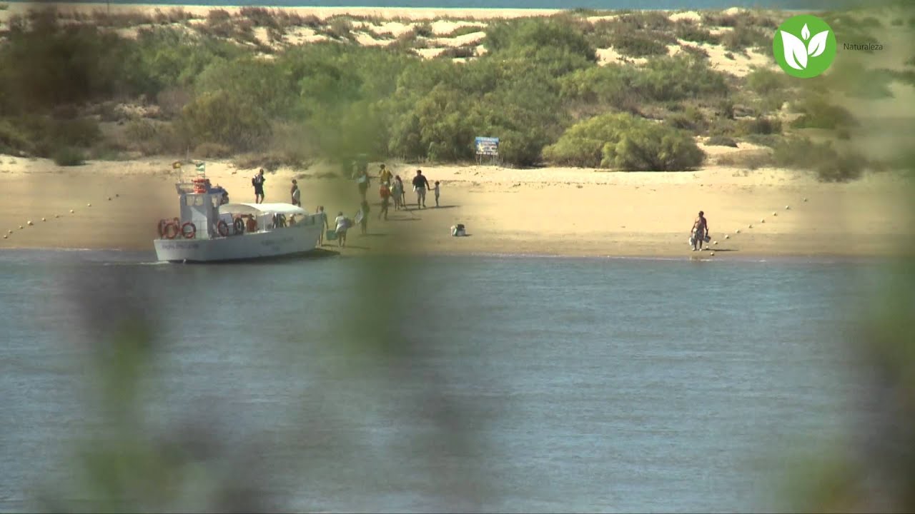 PLAYAS CARTAYA