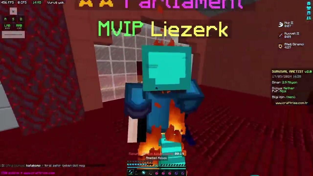 SURVİVAL AMETİST PVP vol6