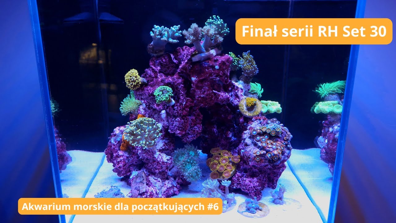 Akwarium morskie dla każdego❗ Finał serii ReefHouse Set 30🔚 Akwarium morskie dla początkujących #6